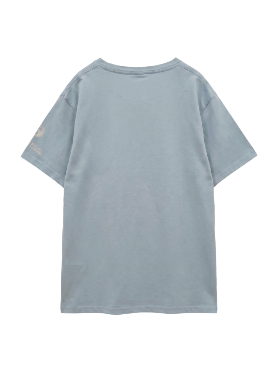 AVIREX / クルーネック Tシャツ/CREW NECK T-SHIRT PJs