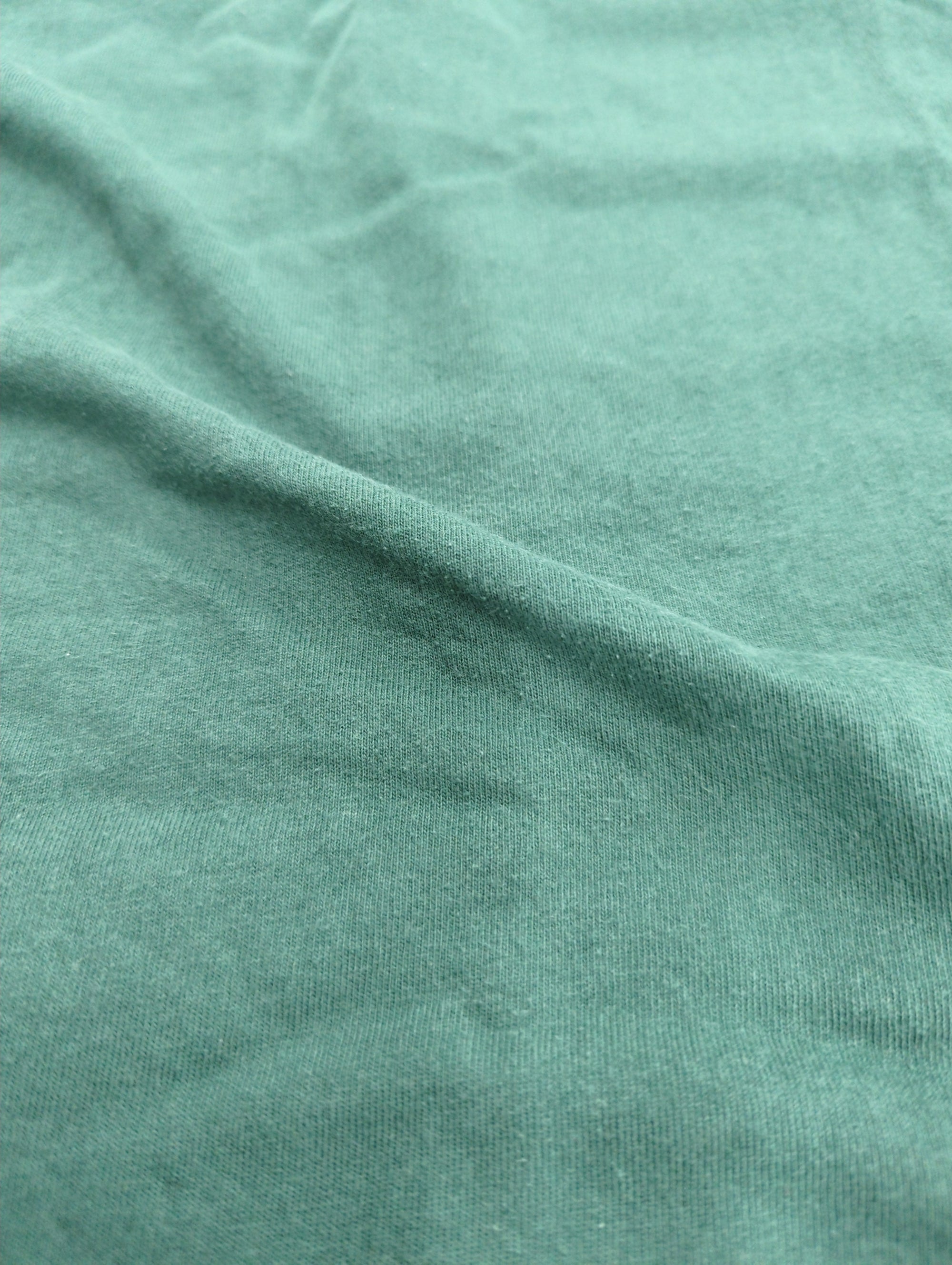 AVIREX / 半袖Tシャツ