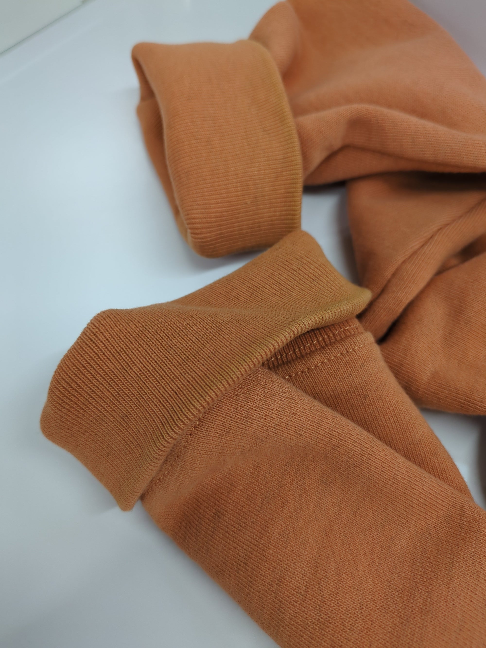 AVIREX / ■L/S ARMY CUSTOM SWEA