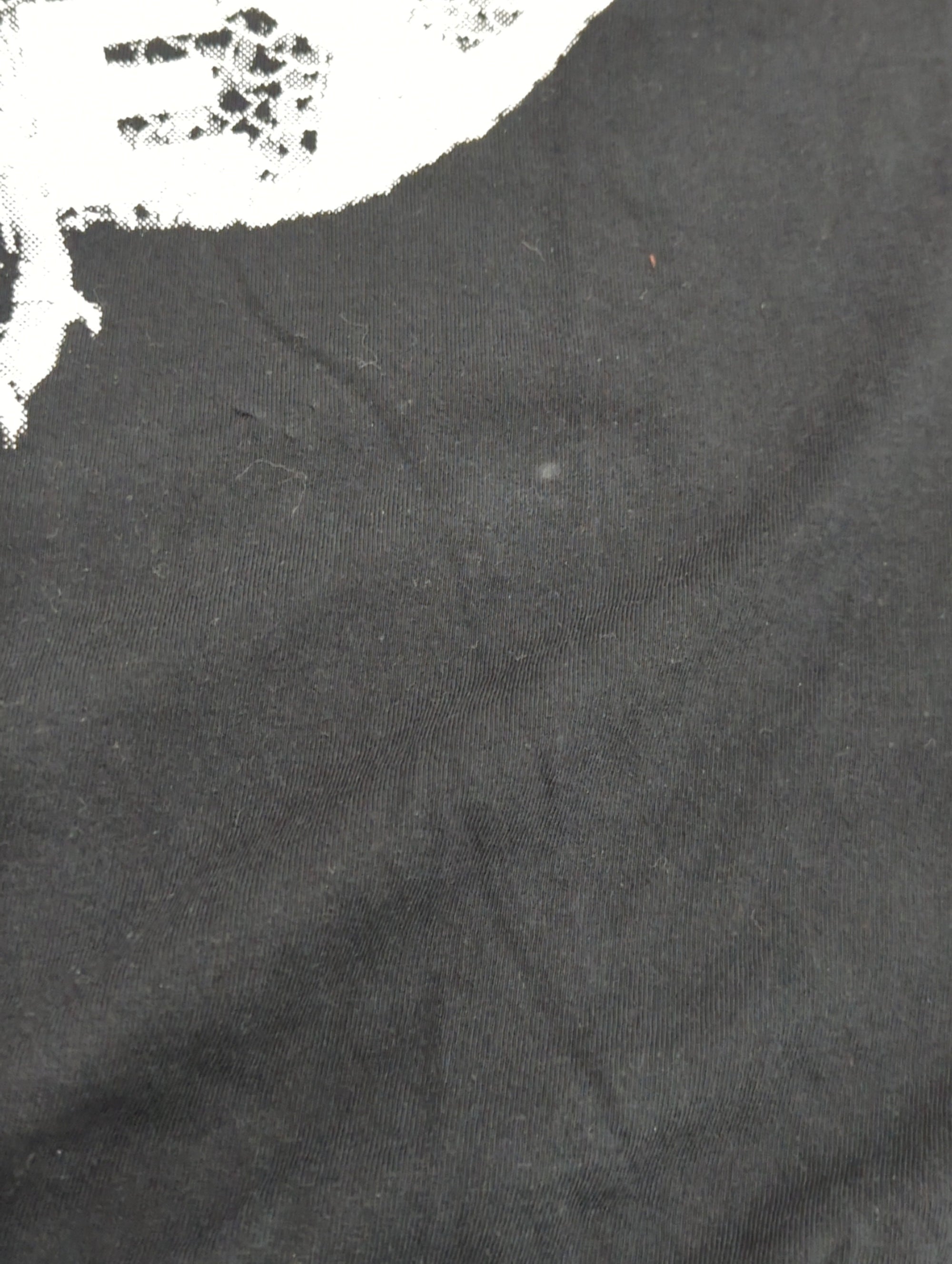 AVIREX / 半袖Tシャツ