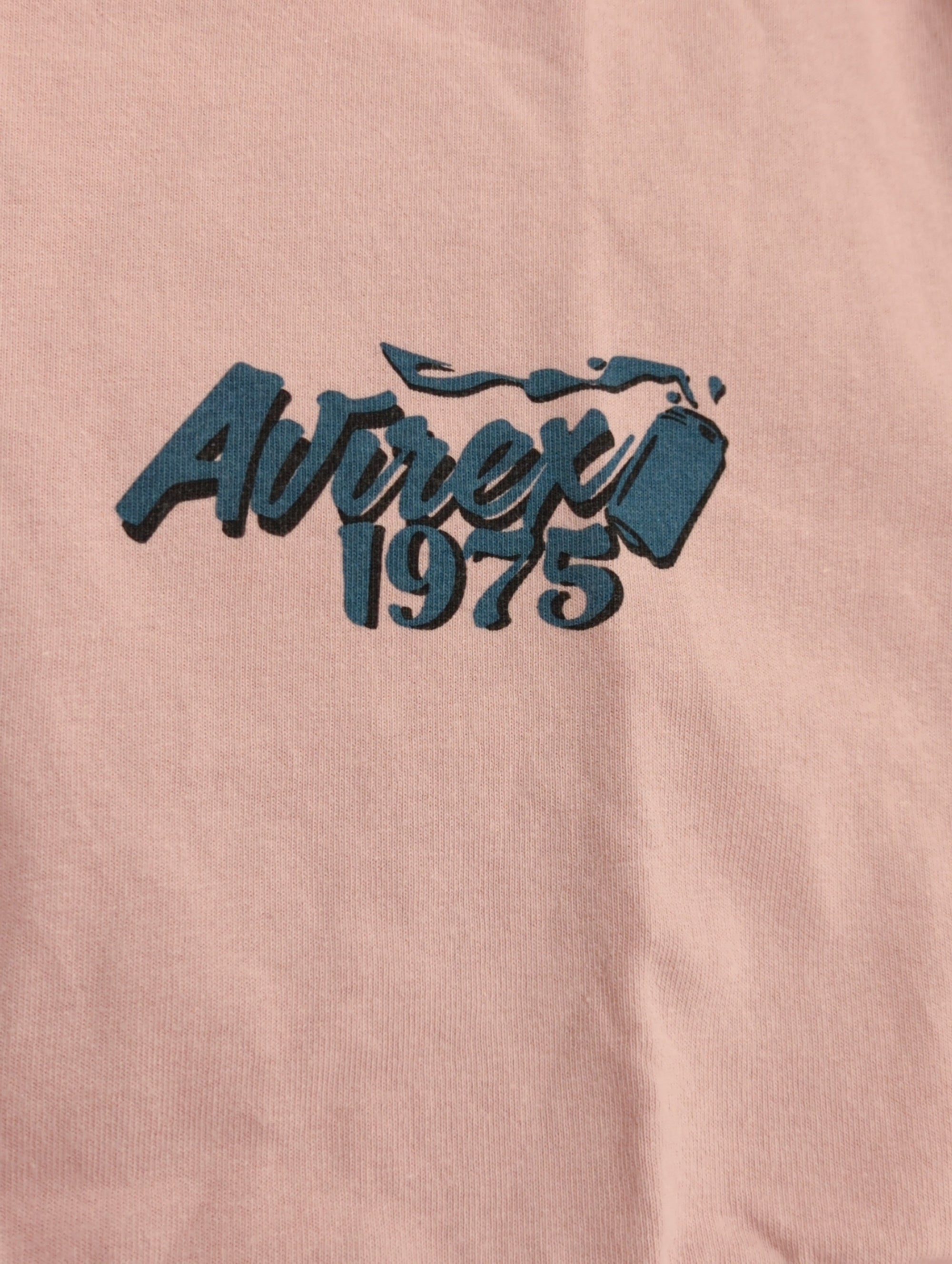 AVIREX / 《WEB&DEPOT限定》SURFING BEAR T-SHIRT / サーフィン ベア Tシャツ / AVIREX / アヴィレックス