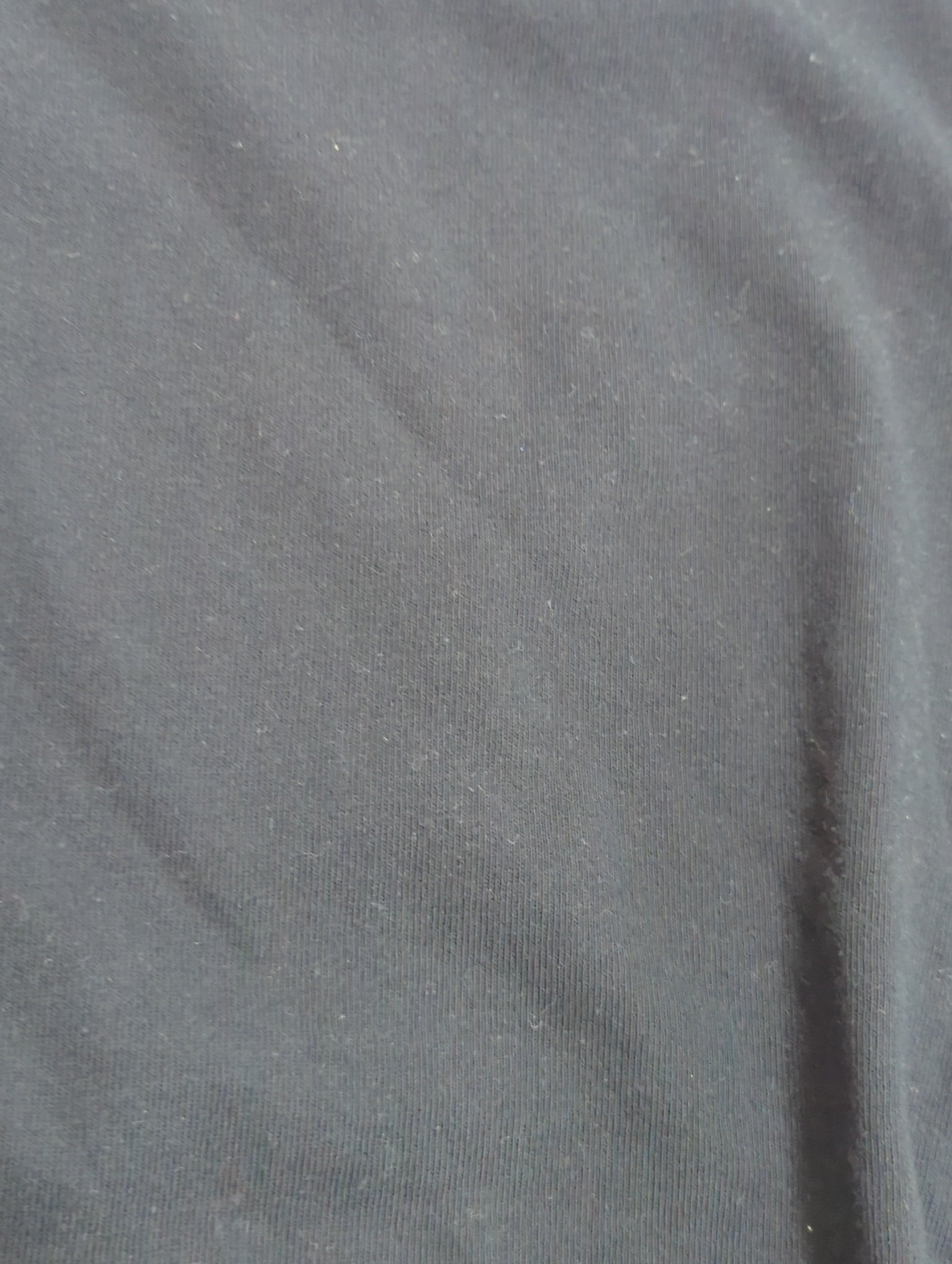 AVIREX / 半袖Tシャツ