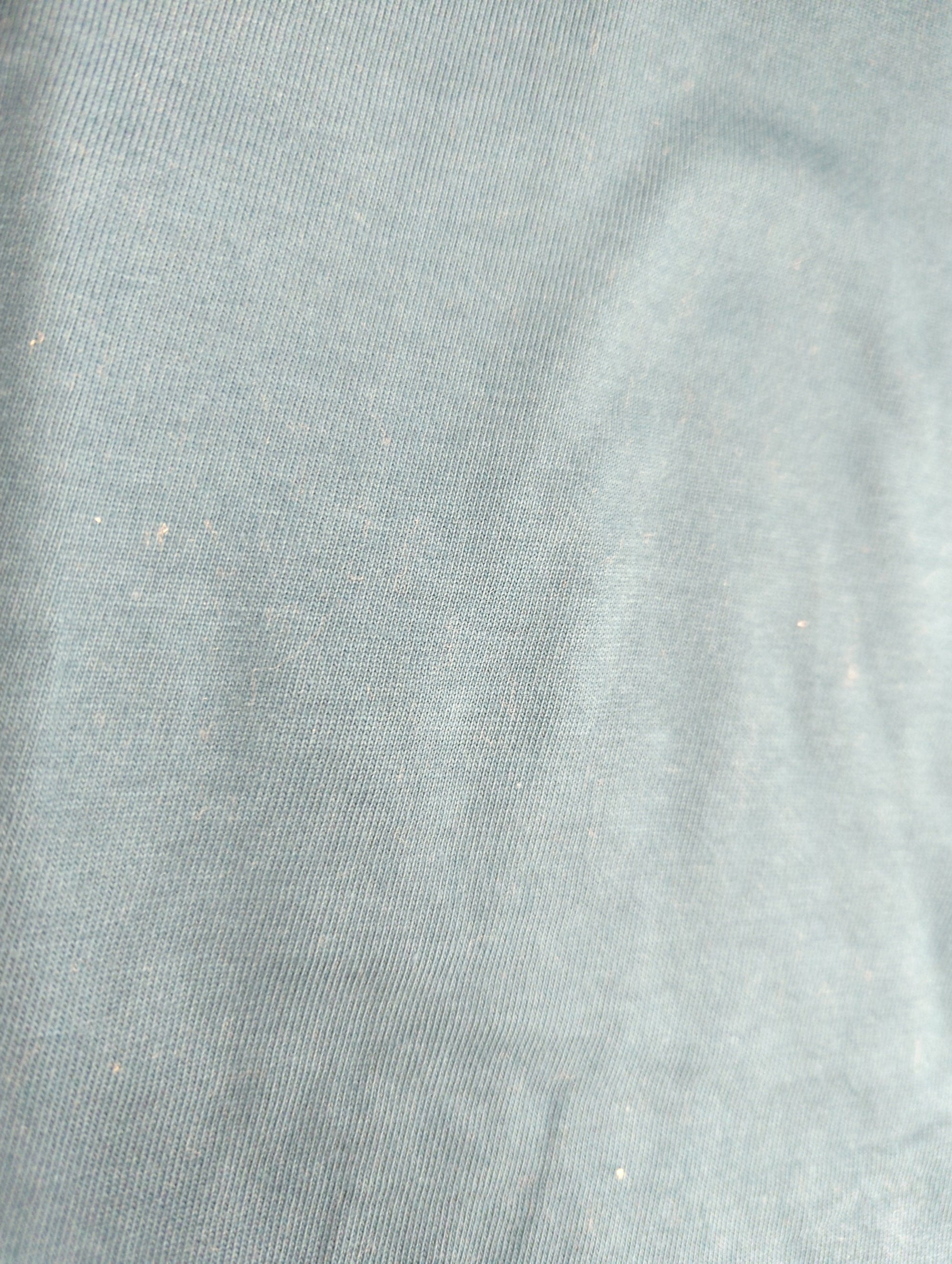 AVIREX / 半袖Tシャツ
