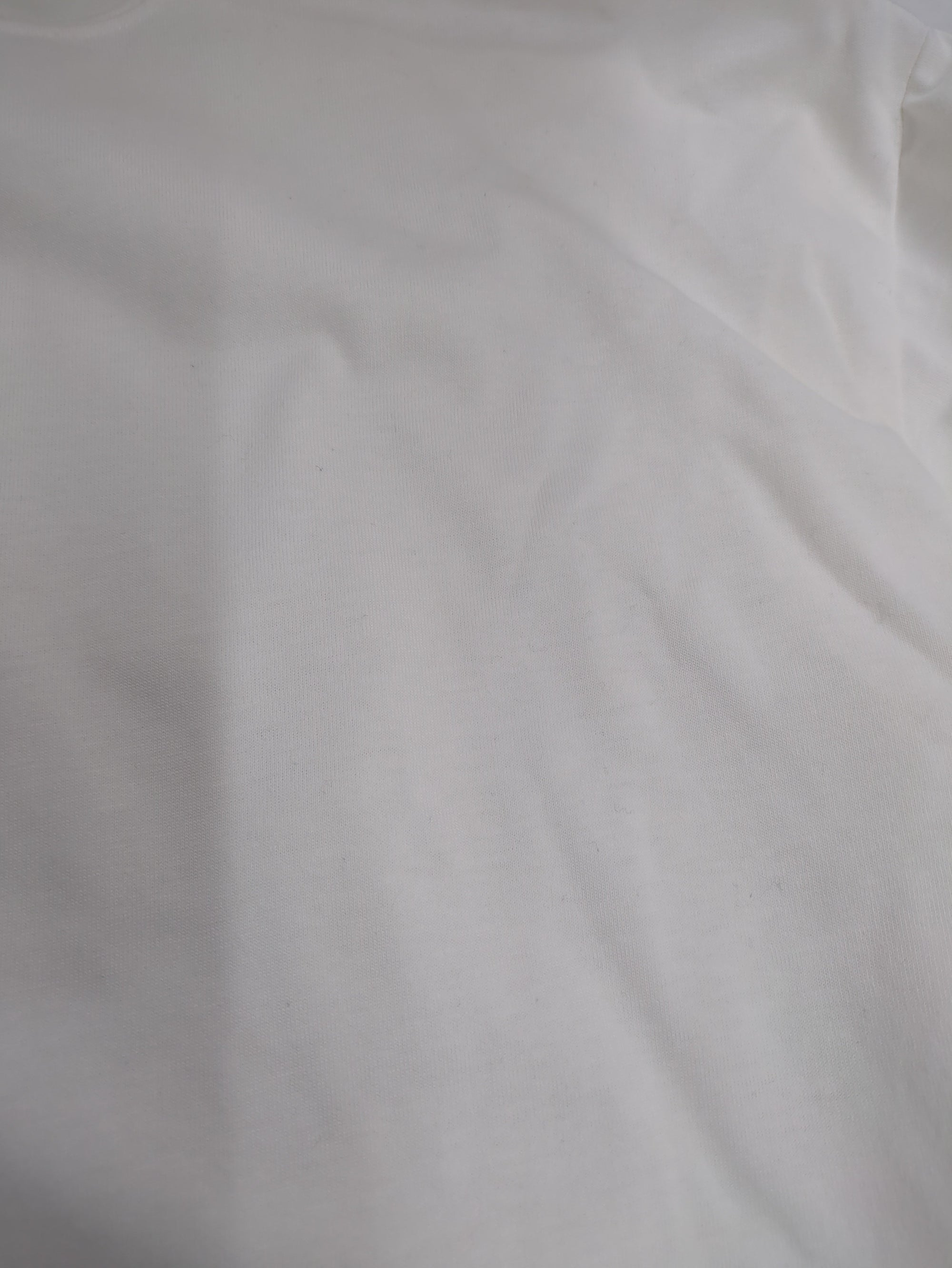 AVIREX / 長袖Tシャツ