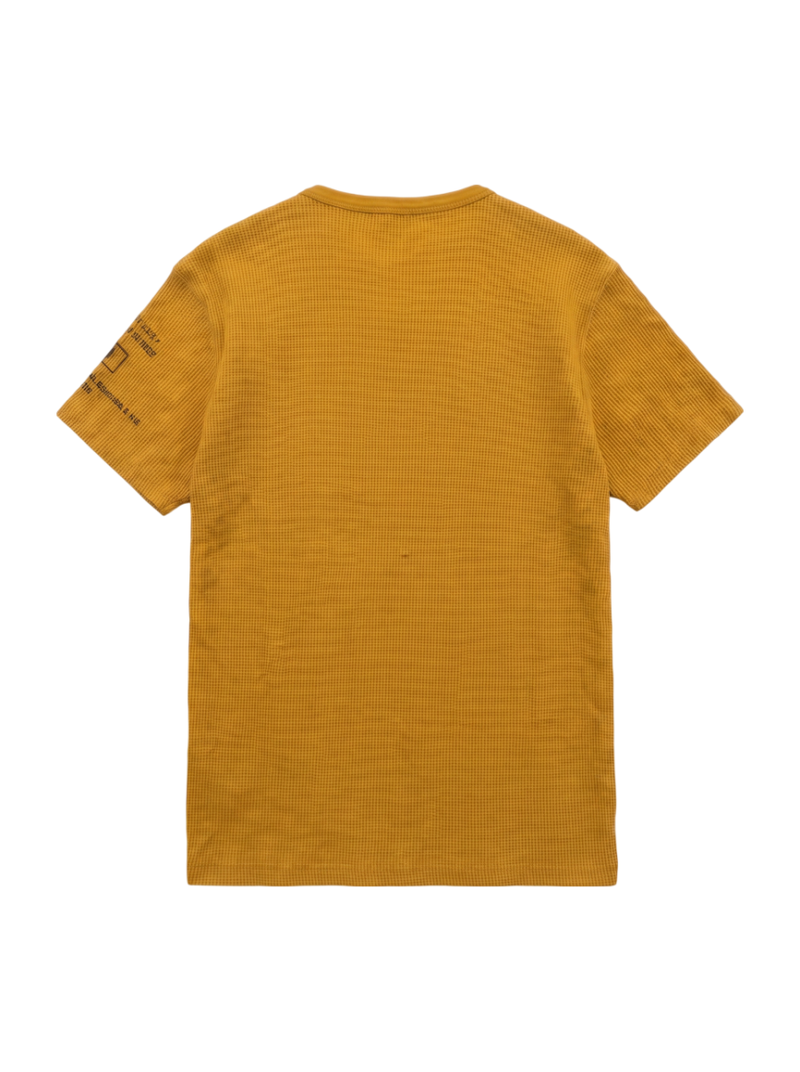 AVIREX / 半袖Tシャツ