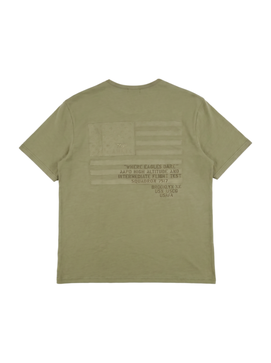 AVIREX / オーバーダイド ヘンリーネック フラッグ Tシャツ/OVER DYED HENLY NECK FLAG T-SHIRT