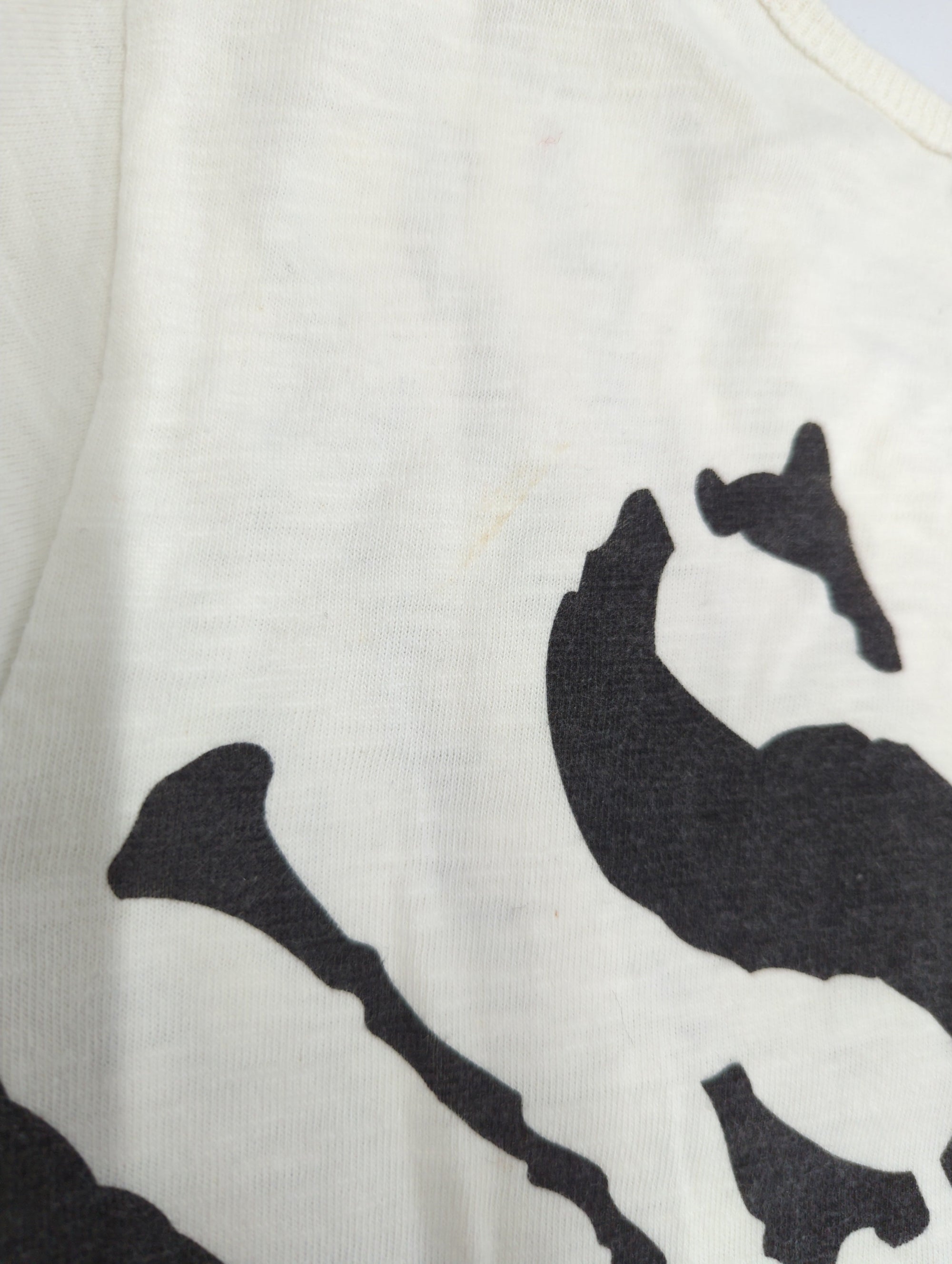 AVIREX / 半袖Tシャツ