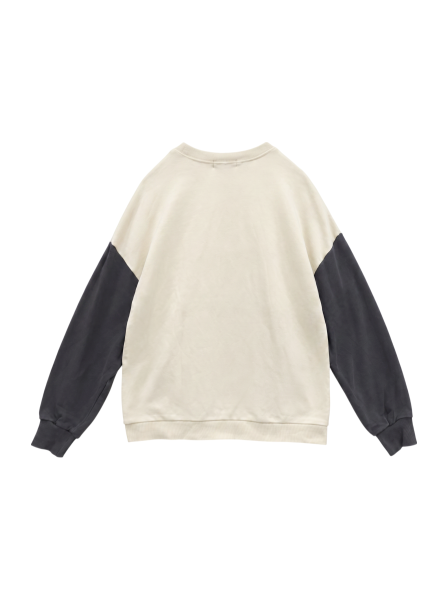 AVIREX / C/LOGO WAPPEN SWEAT PULLOVER/ロゴワッペンスウェットプルオーバー