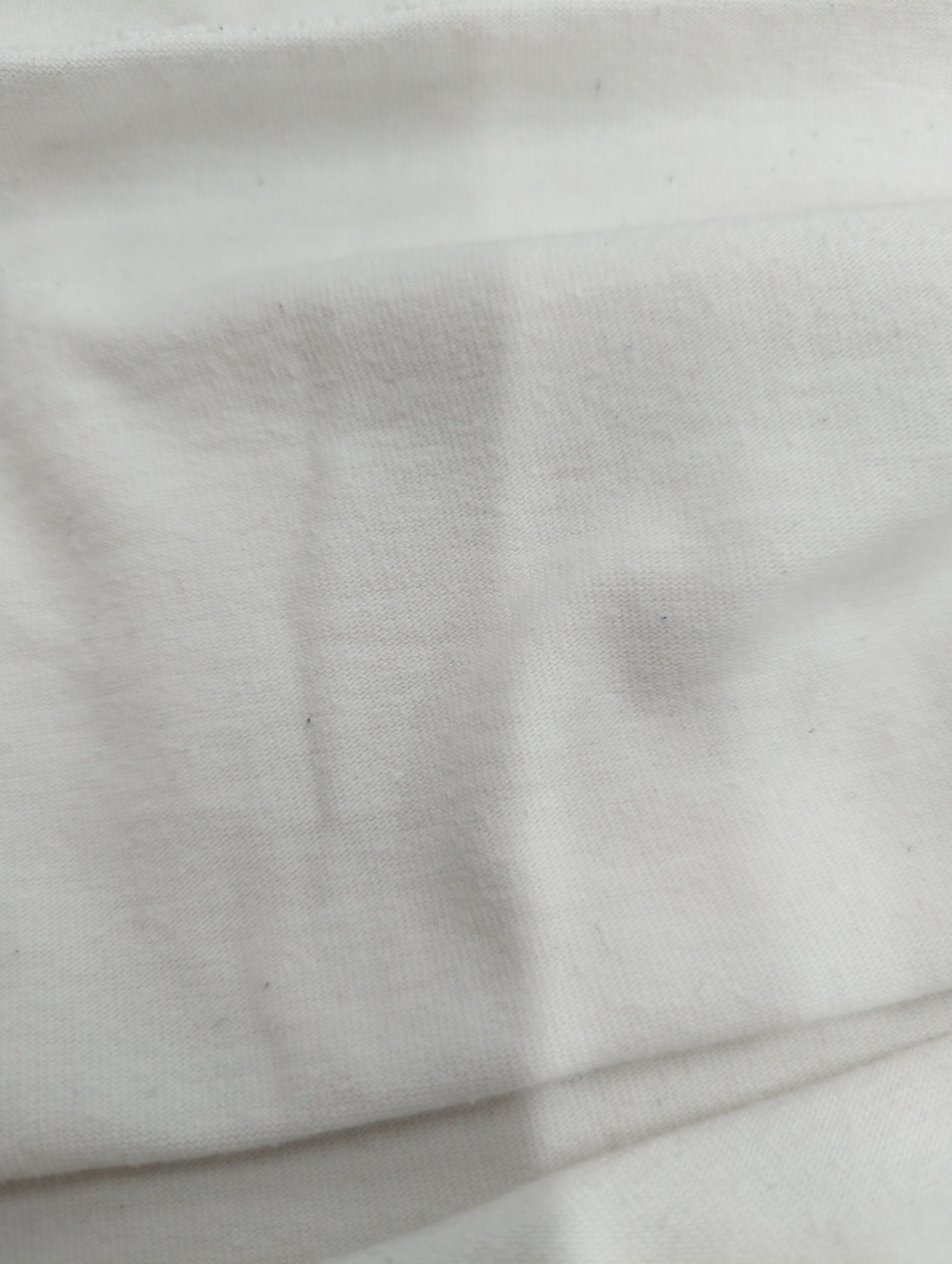 AVIREX / 半袖Tシャツ