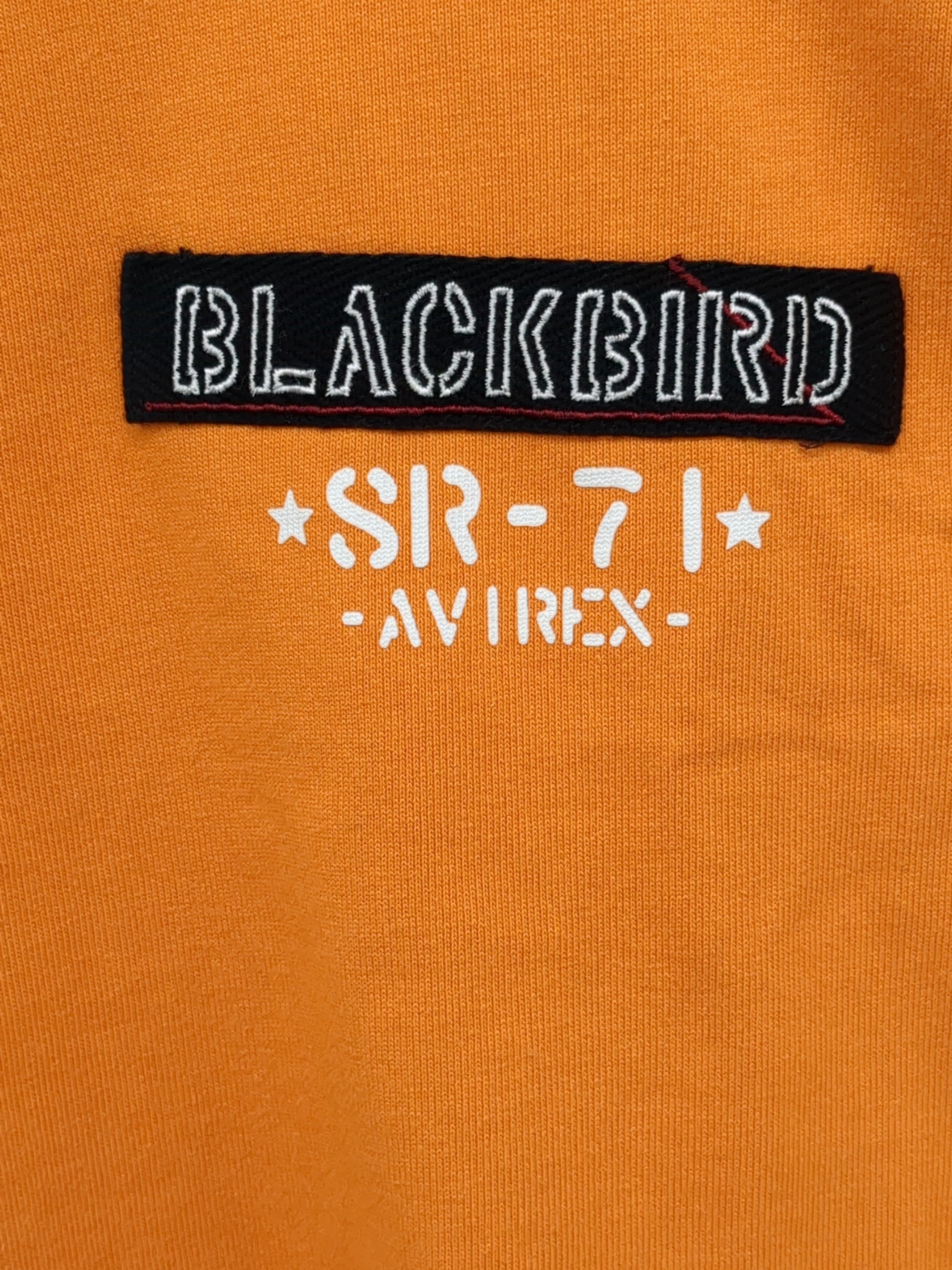 AVIREX / 半袖Tシャツ