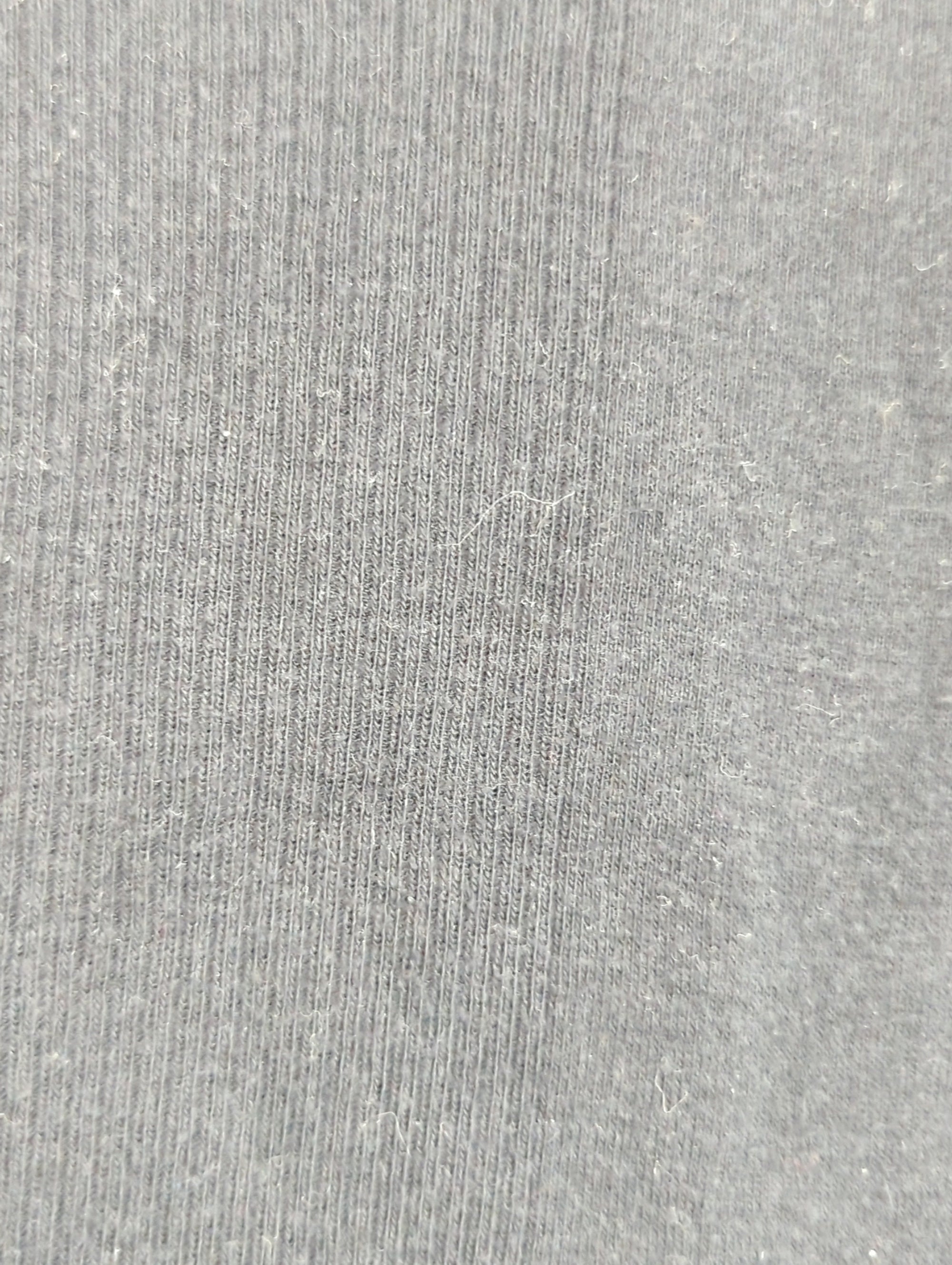 AVIREX / 半袖Tシャツ