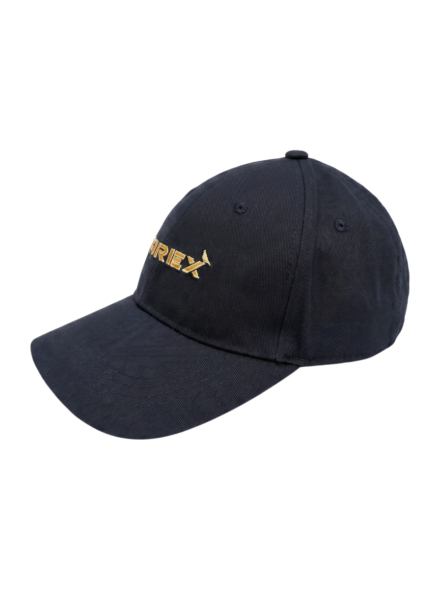 AVIREX / TWILL LOGO CAP / ツイル ロゴ キャップ / AVIREX / アヴィレックス