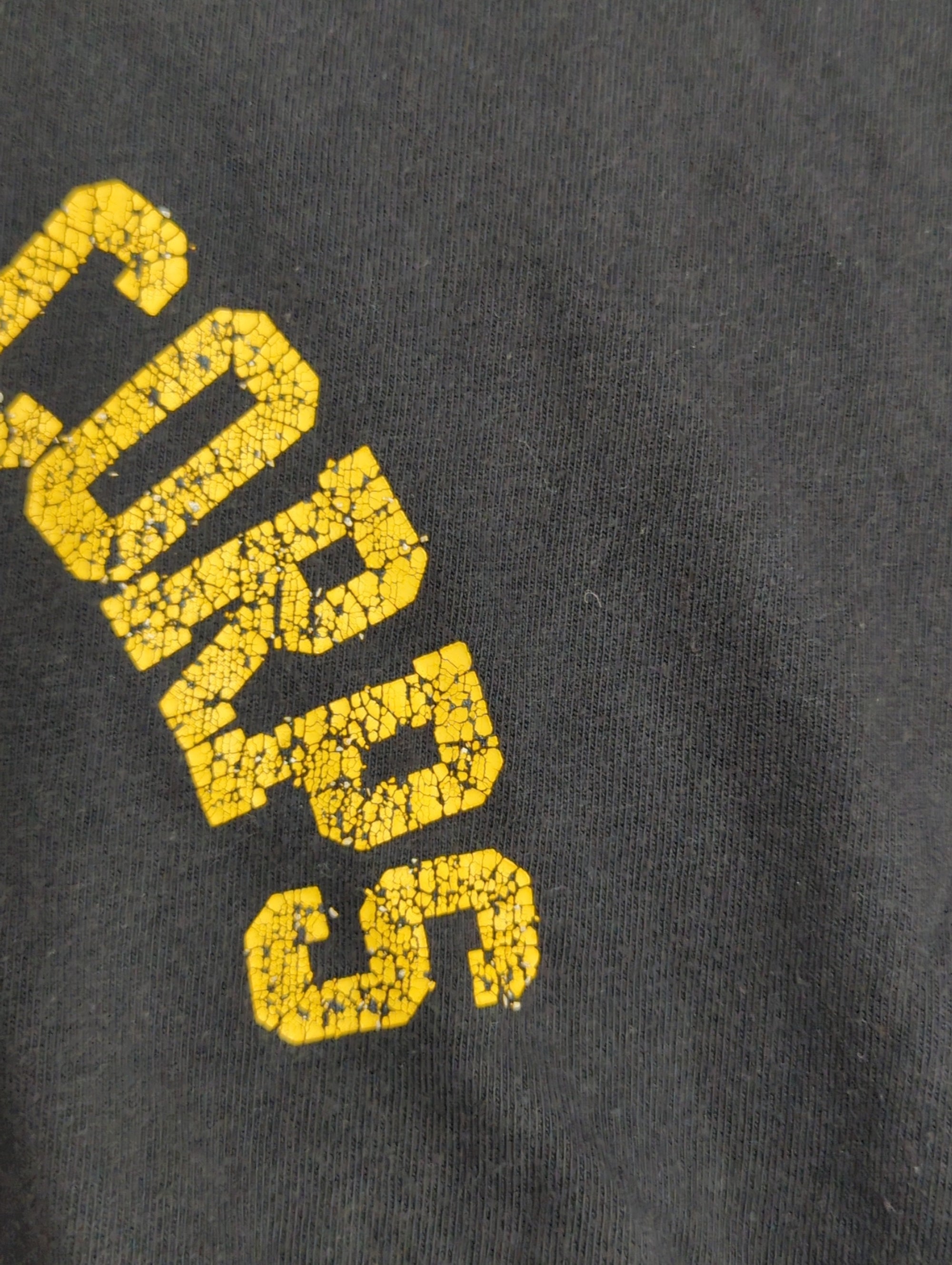 AVIREX / avirex/ アヴィレックス /半袖 米綿 USAAC ウィング Tシャツ /USA COTTON USAAC WING T-SHIRT