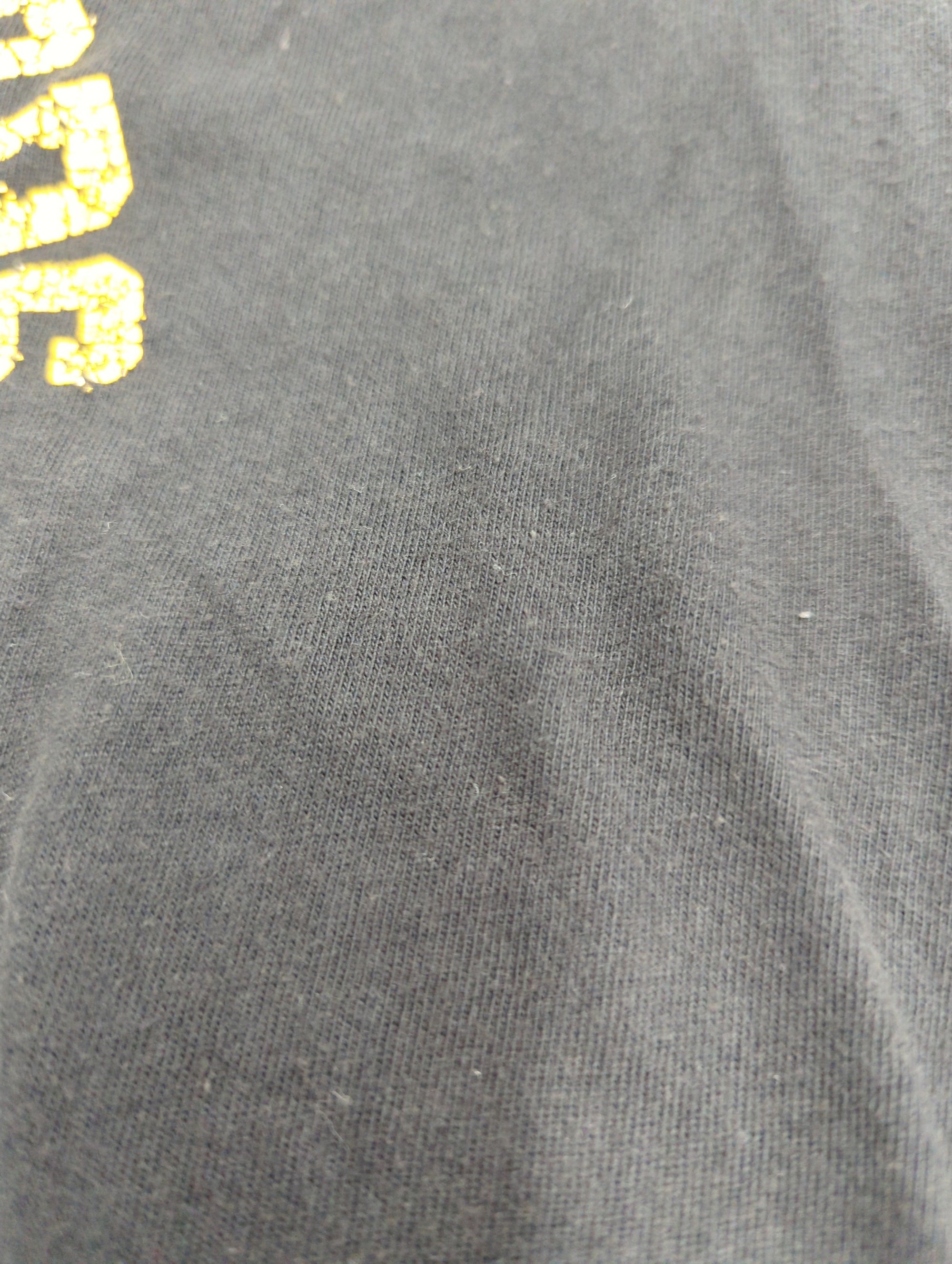 AVIREX / avirex/ アヴィレックス /半袖 米綿 USAAC ウィング Tシャツ /USA COTTON USAAC WING T-SHIRT