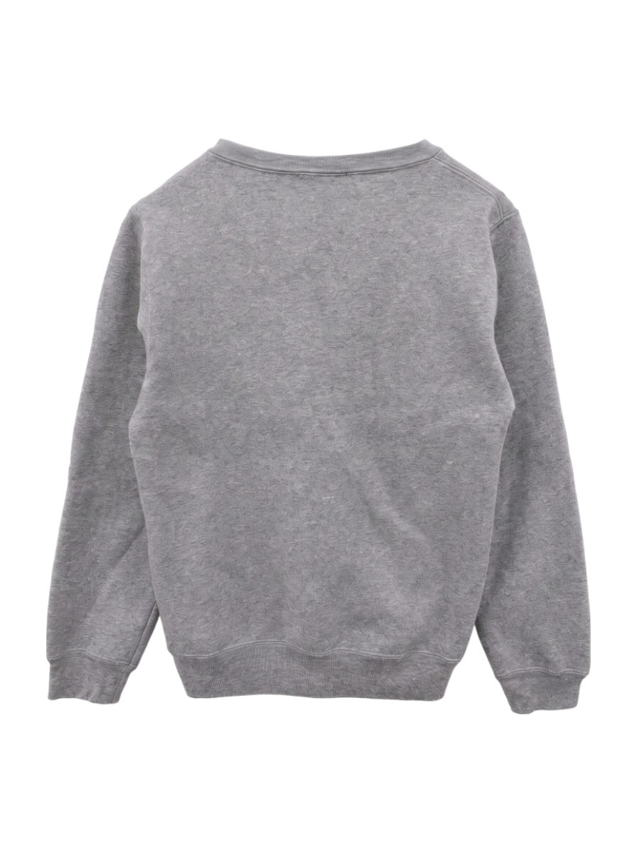 AVIREX / 2021 HB L-CREW NECK SWEAT USAF