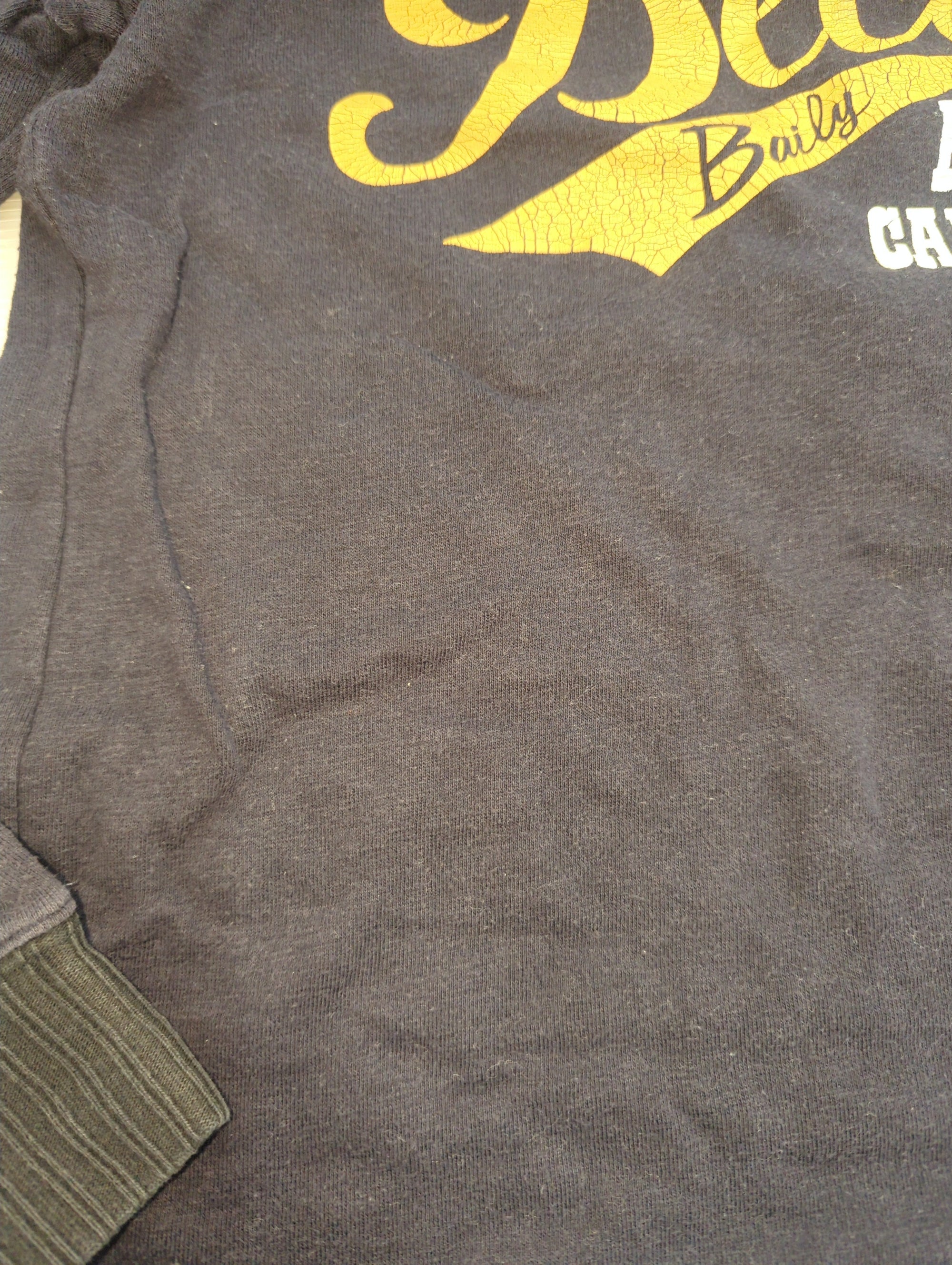AVIREX / 長袖Tシャツ