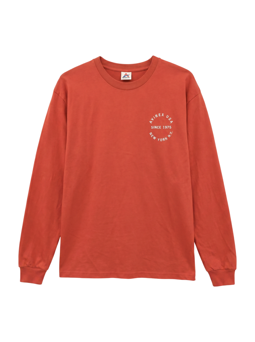 AVIREX / L/S VARSITY LOGO 2.0 T-SHIRT / ヴァーシティロゴ 2.0 長袖Tシャツ