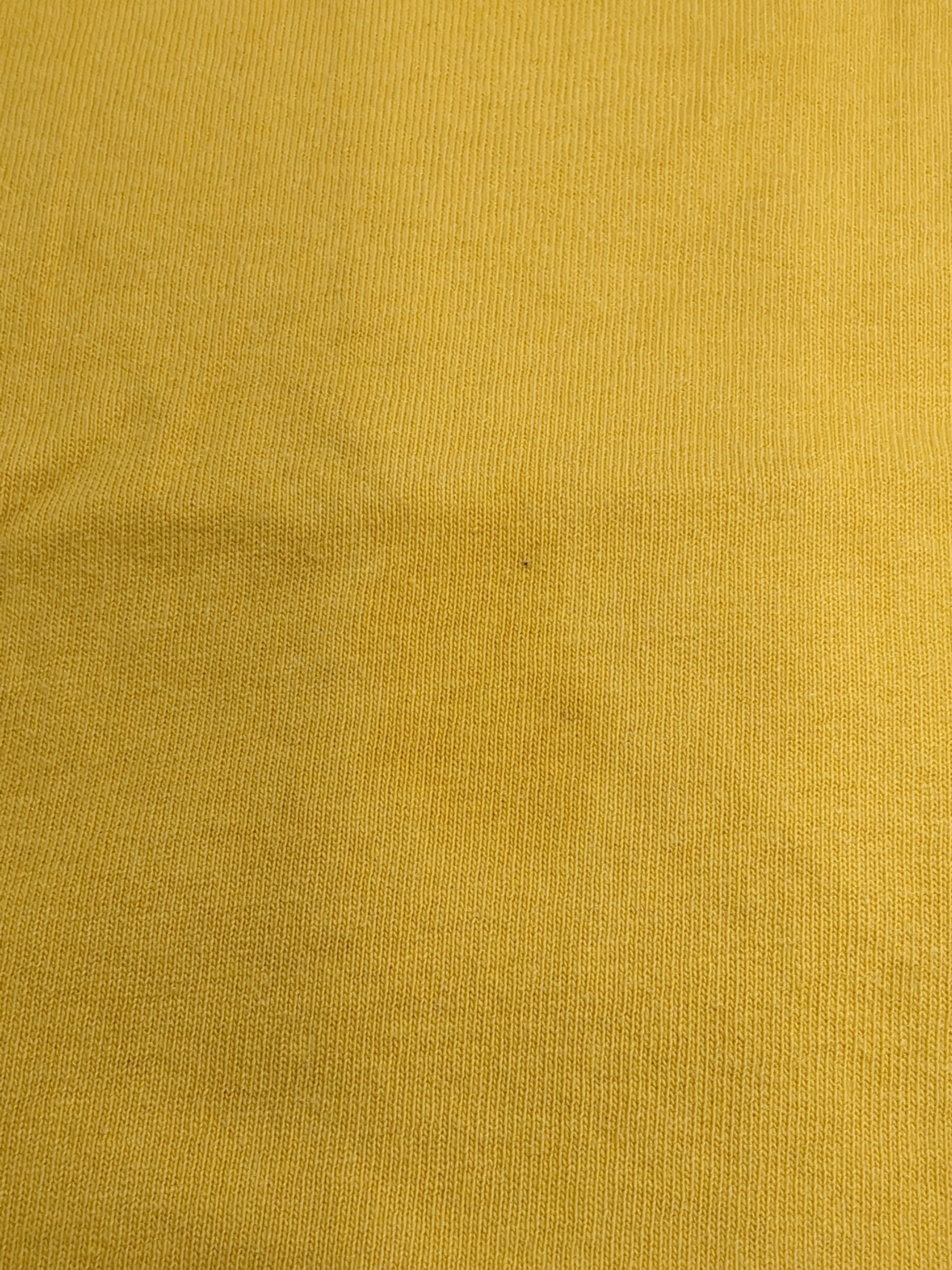 AVIREX / WEST COAST BURGER RINGER T-SHIRT / ウエスト コースト バーガー リンガー Tシャツ