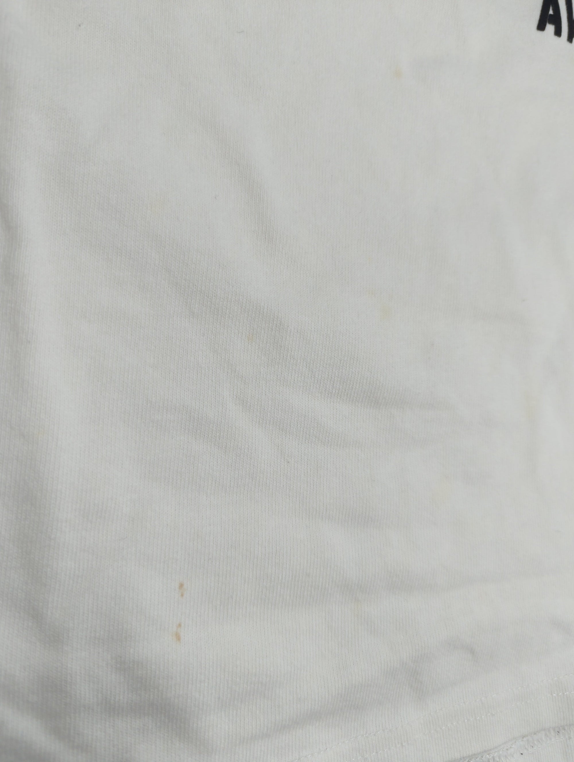 AVIREX / 長袖Tシャツ