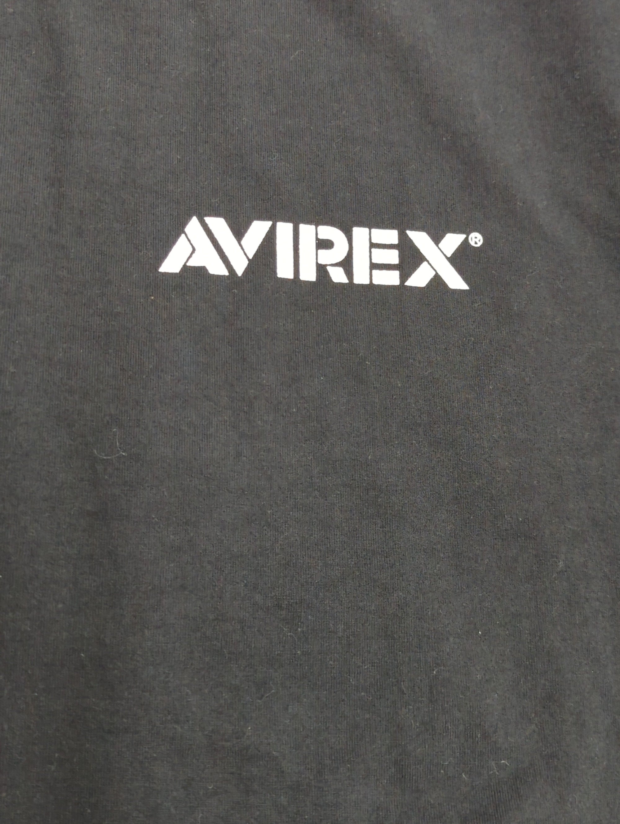 AVIREX / 《REBUILD COLLECTION》ドラゴン&スネーク 長袖Tシャツ / L/S T-SHIRT DRAGON&SNAKE