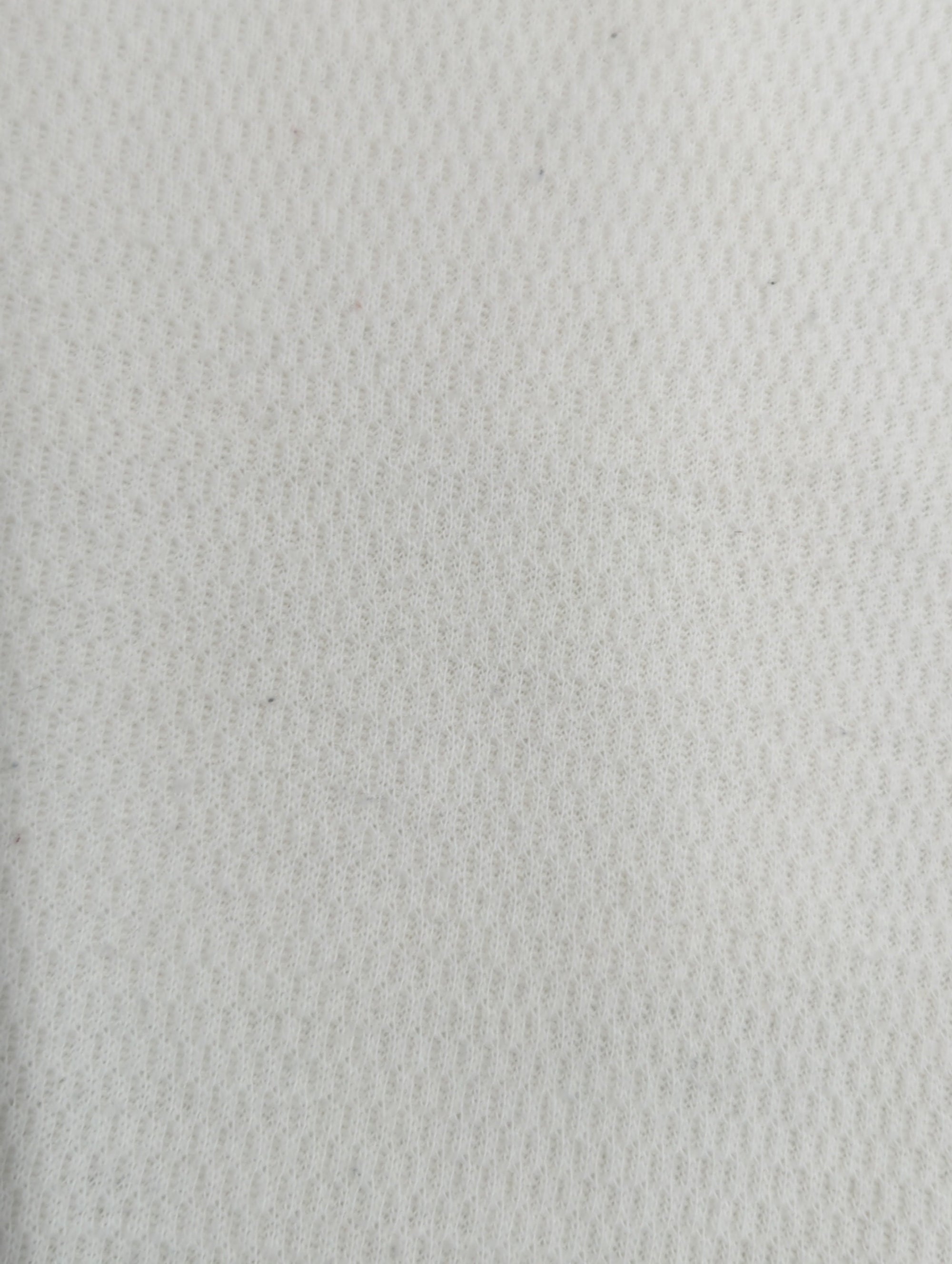 AVIREX / 半袖Tシャツ