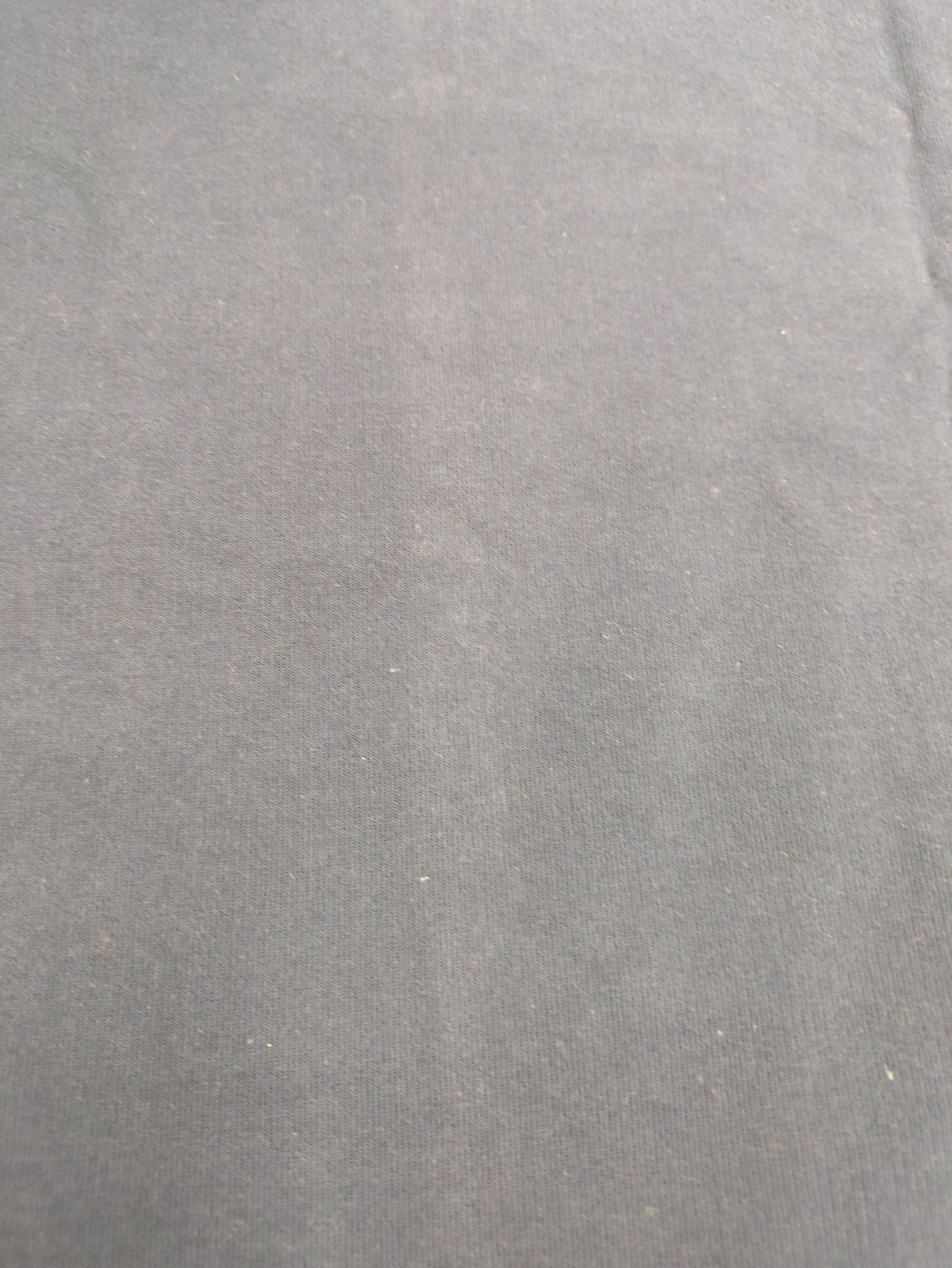 AVIREX / 半袖Tシャツ