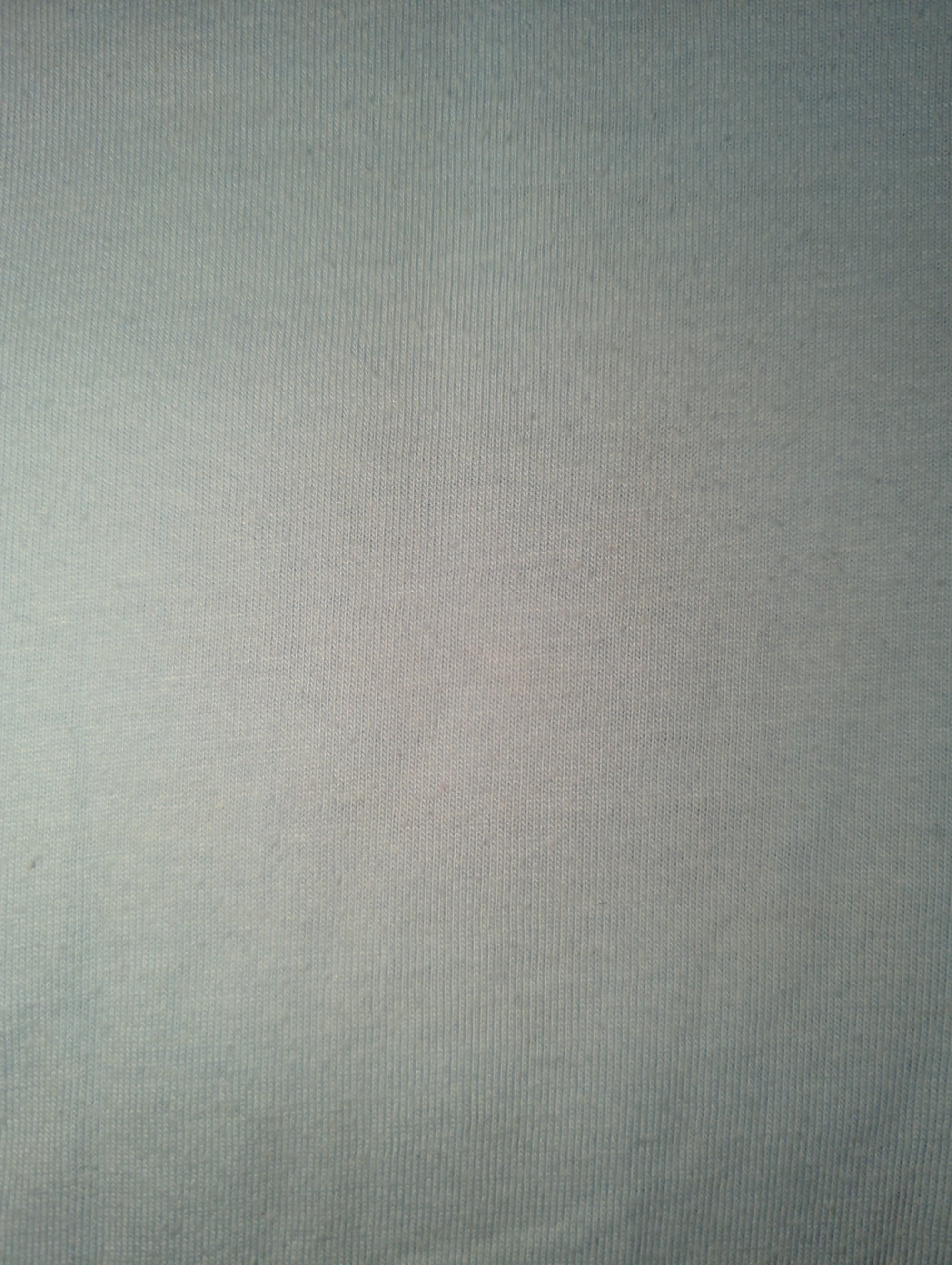 AVIREX / 半袖Tシャツ