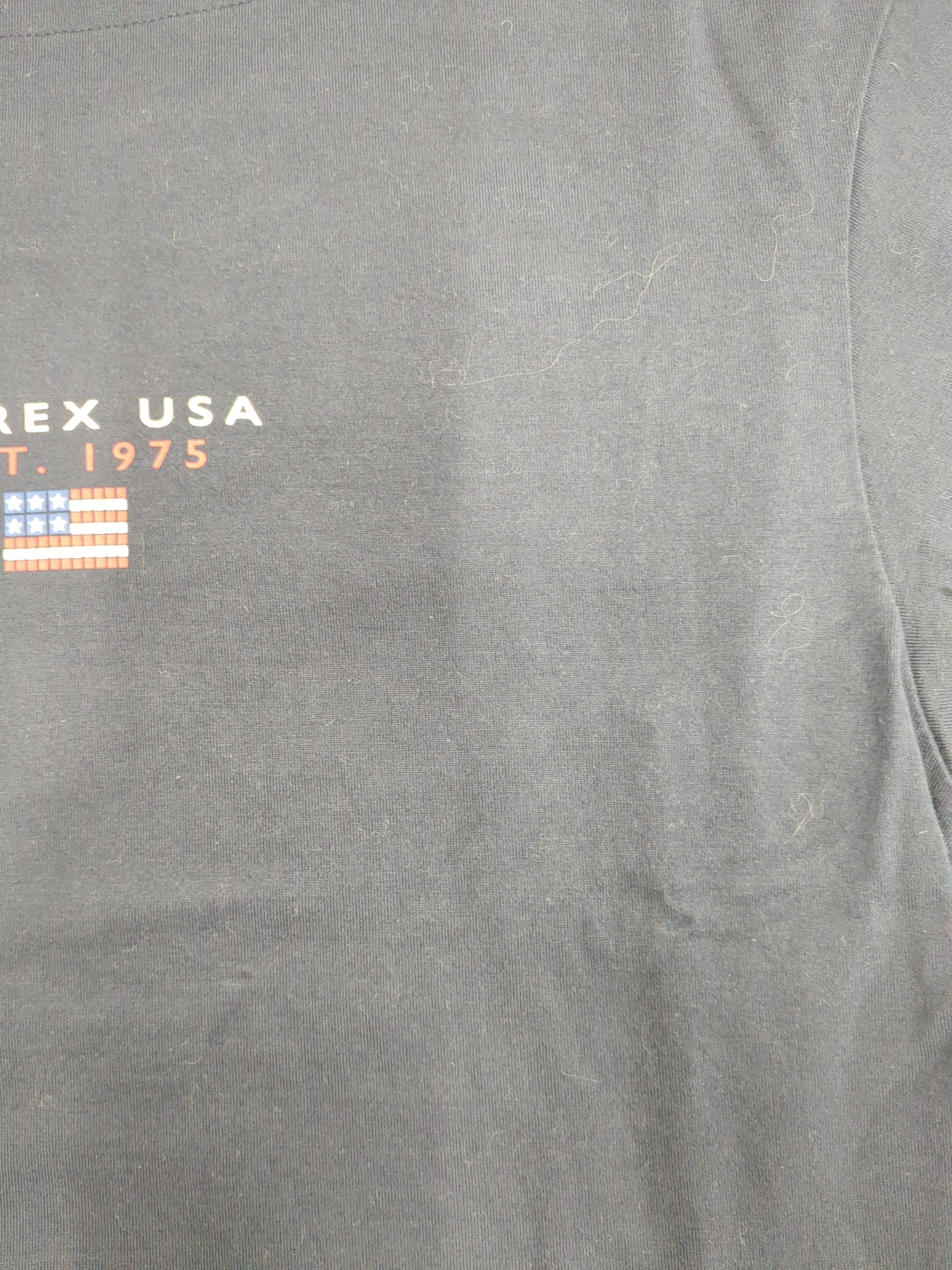 AVIREX / BLOCK LOGO T-SHIRT/ ブロックロゴティーシャツ