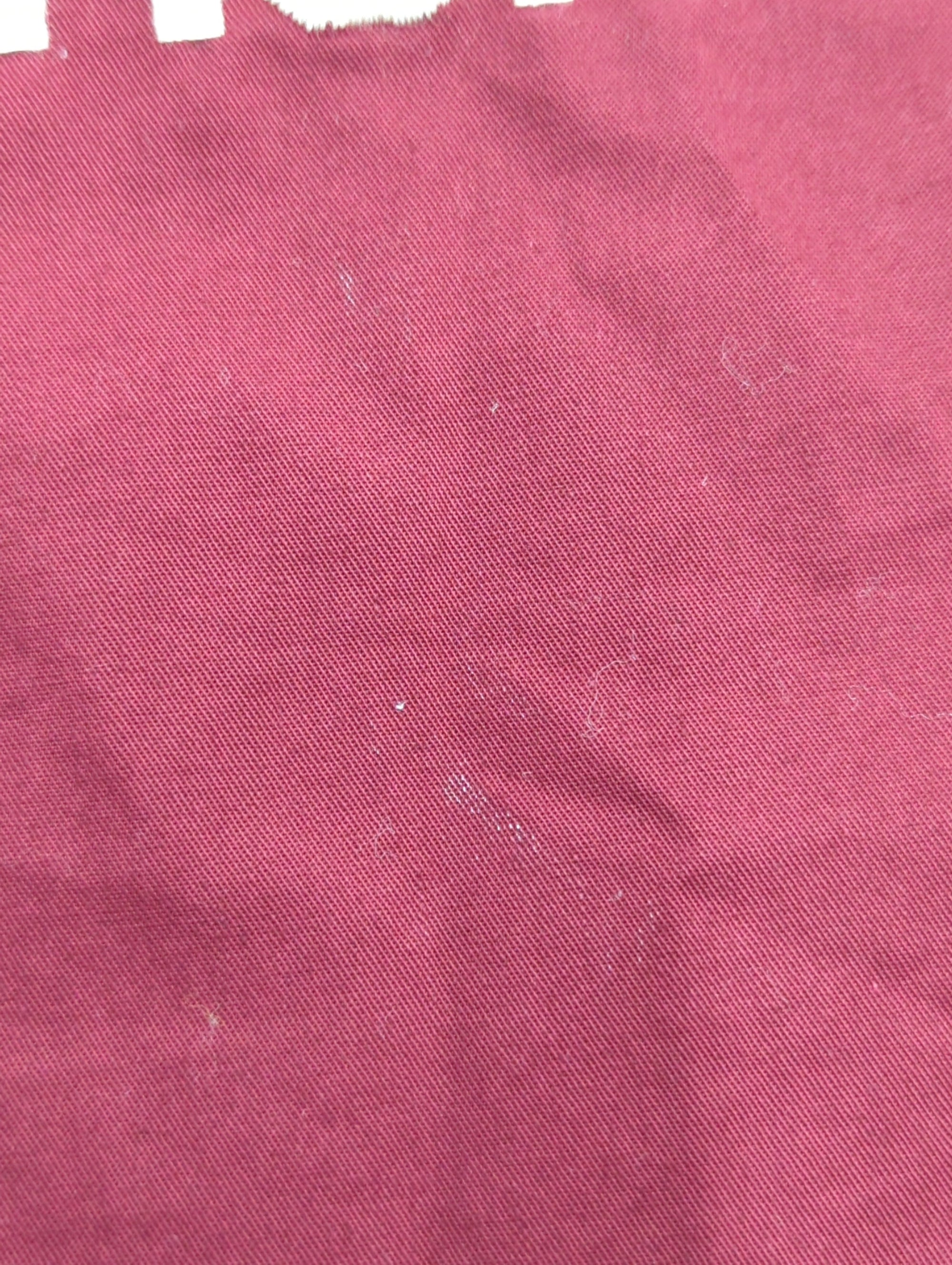 AVIREX / 半袖シャツ