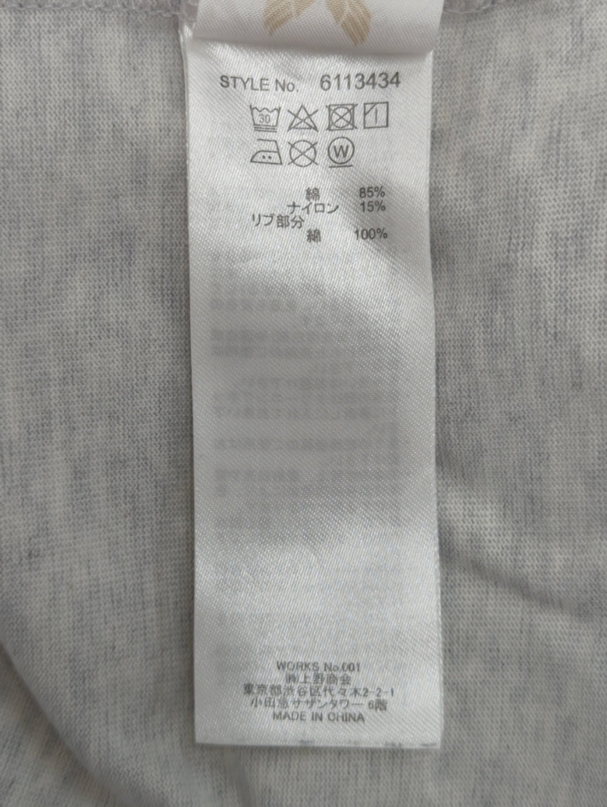 AVIREX / 長袖 Tシャツ エアリアル リーコン / LS T-SHIRT AERIAL RECON