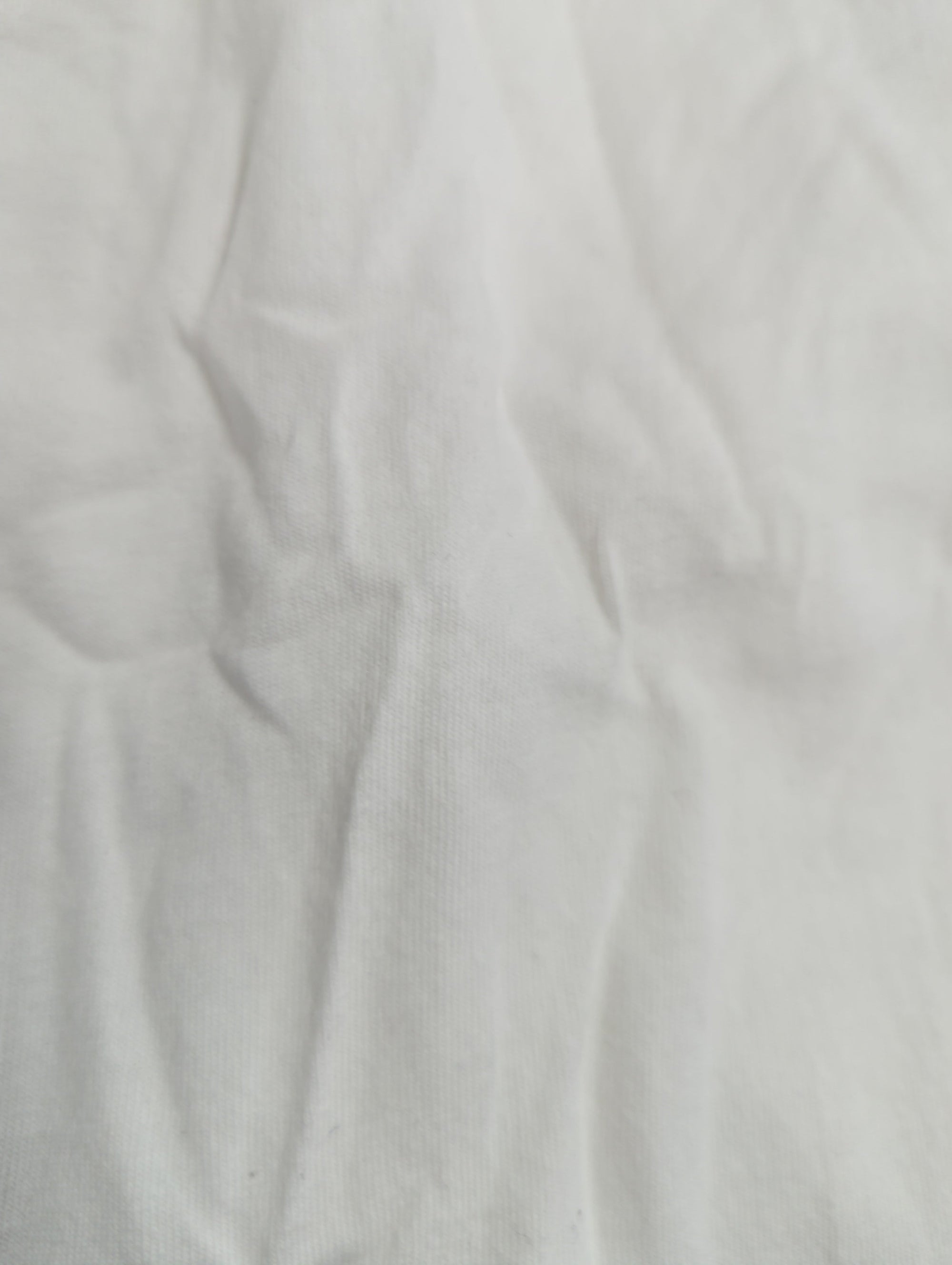 AVIREX / 半袖Tシャツ