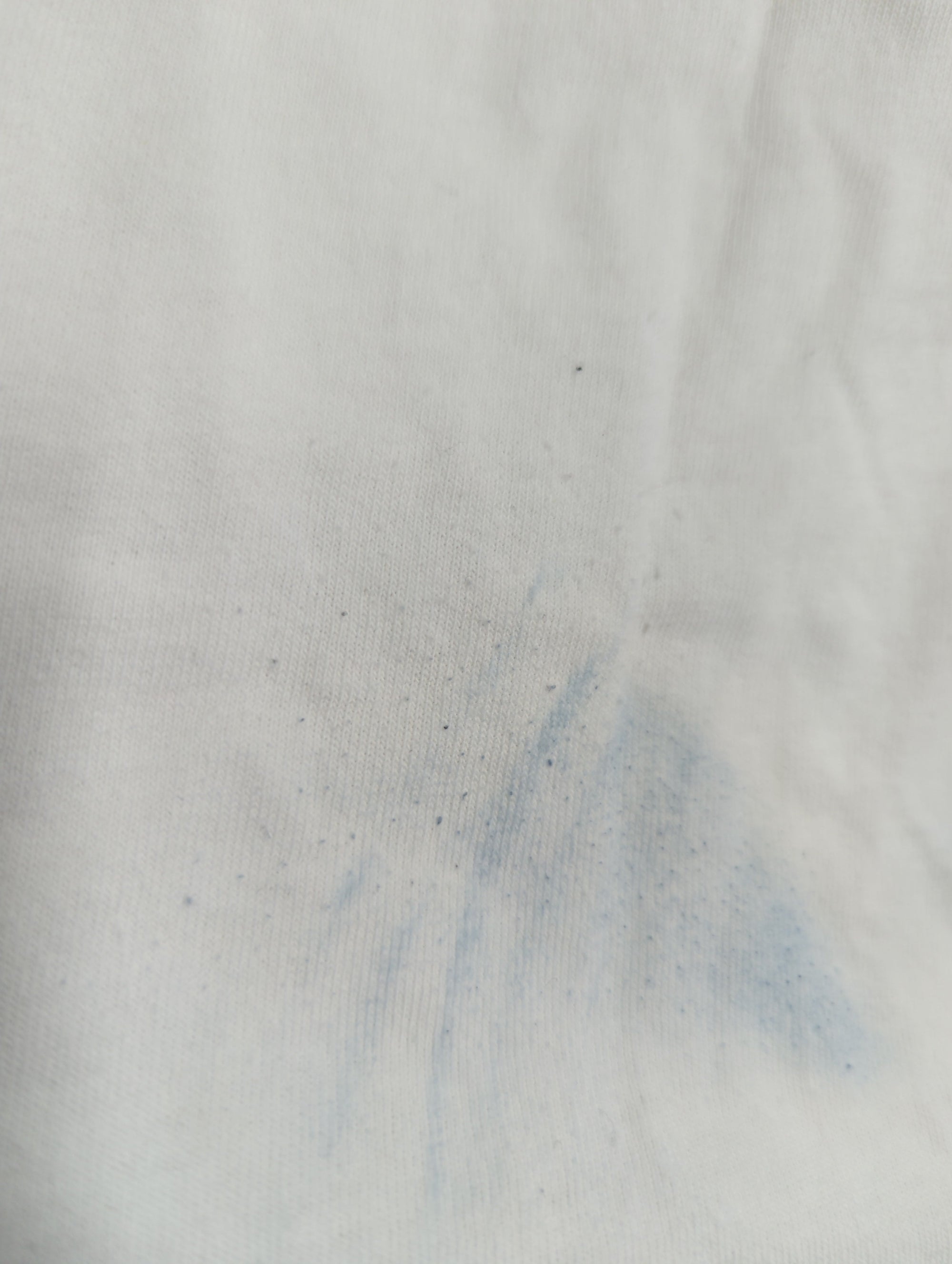 AVIREX / 半袖Tシャツ